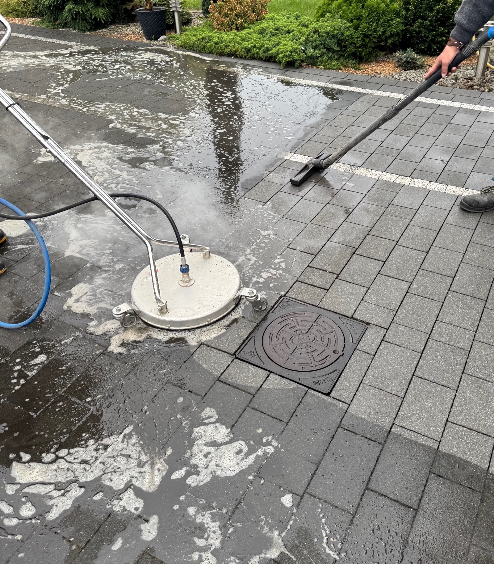 Profesjonalna chemia grzybobójcza do czyszczenia